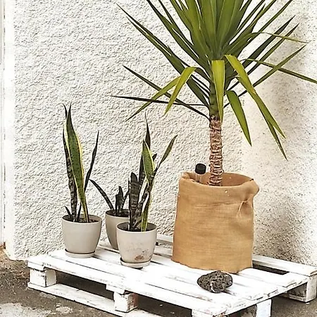 Playa En Rias Baixas - Apartmán