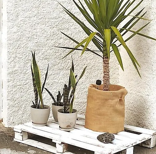 Playa En Rias Baixas - شقة